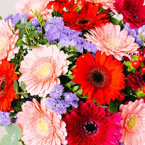Red Rose Fuchsia Gerberas