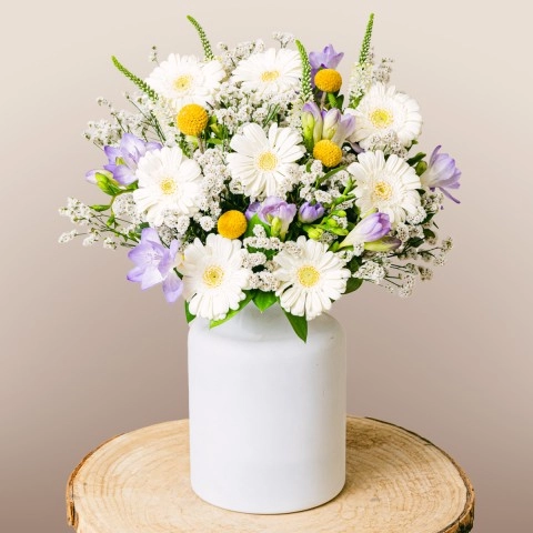 White Gerberas