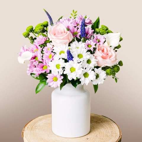 Pink and White Chrysanthemums