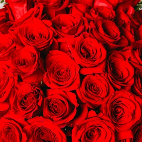 Love Fragrance